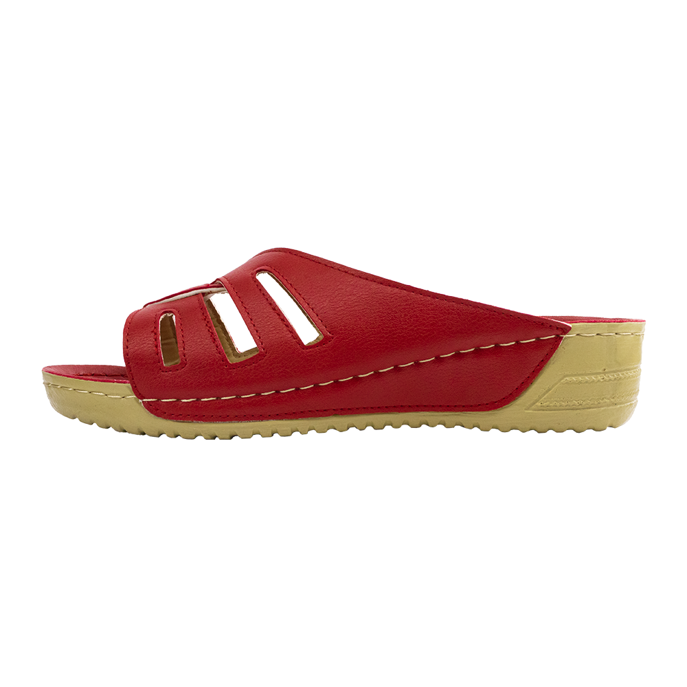 خرید آنلاین دمپایی زنانه پاتکان مدل 198 کد 04